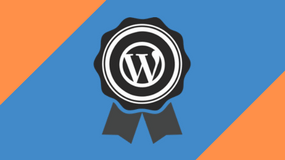avanceret-wordpress kursus
